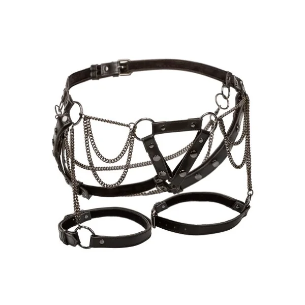 Next Product Image