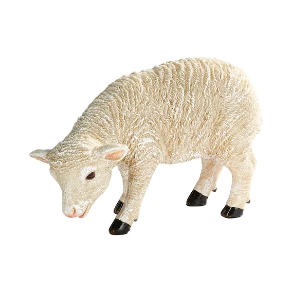 Next Product Image