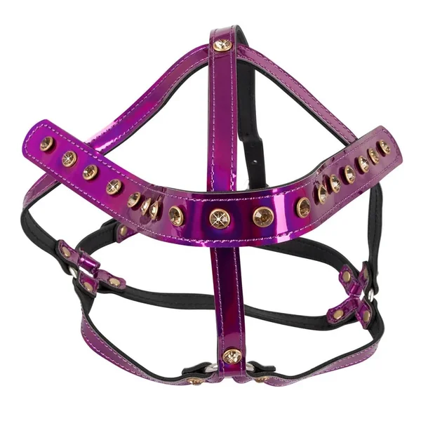 Next Product Image