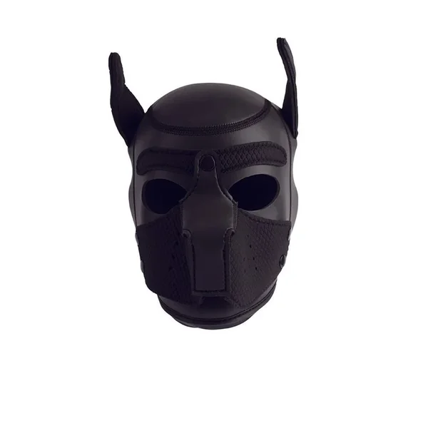 Next Product Image
